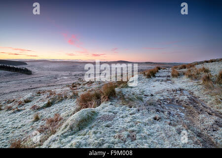 Sonnenaufgang über dem frostigen Winter Moor auf Bodmin Moor in Cornwall Stockfoto