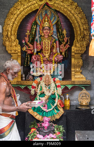 Hinduistische Gottheit und Priester, Sri Veeramakaliamman Hindu-Tempel, Singapur, Asien Stockfoto