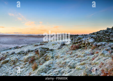 Eine frostige Winter Sonnenaufgang über robuste Moor am Garrow Tor auf Bodmin Moor in Cornwall Stockfoto