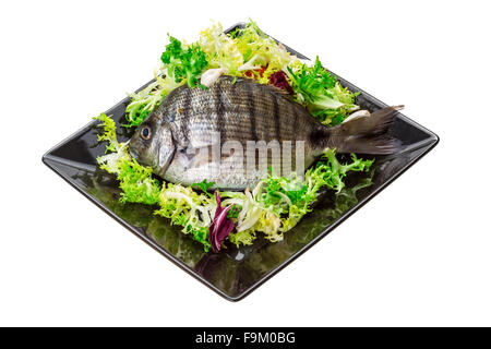 Rohe Tilapia Makro Studioaufnahmen Stockfoto