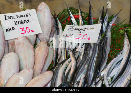 Fischmarkt, Galata Waterfront, Istanbul Stockfoto