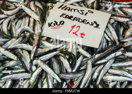 Fischmarkt, Galata Waterfront, Istanbul Stockfoto