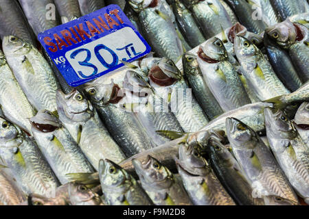 Fischmarkt, Galata Waterfront, Istanbul Stockfoto