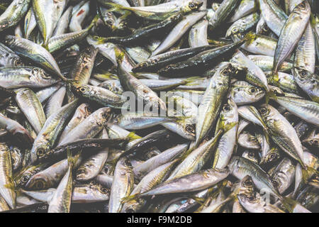 Fischmarkt, Galata Waterfront, Istanbul Stockfoto