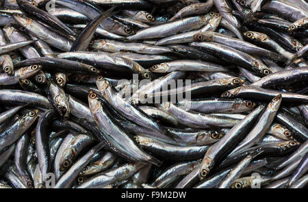 Fischmarkt, Galata Waterfront, Istanbul Stockfoto