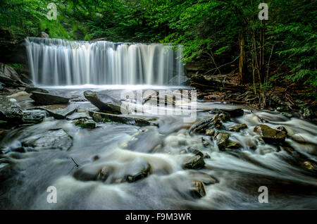 Oneida verliebt sich in Ricketts Glen, Pennsylvania Stockfoto