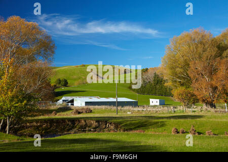 Woolshed auf Bauernhof im Herbst, in der Nähe von Lawrence, Central Otago, Südinsel, Neuseeland Stockfoto