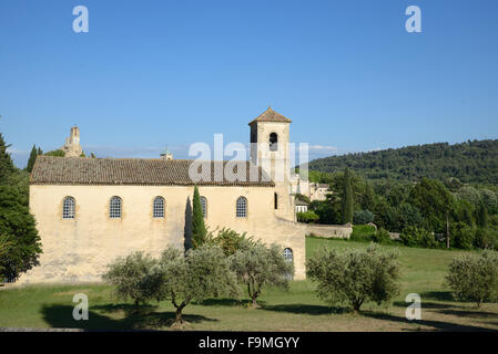 Evangelische Kirche & Olivenbäume oder Olive Grove Lourmarin in den Regionalpark Luberon Vaucluse Provence Frankreich Stockfoto