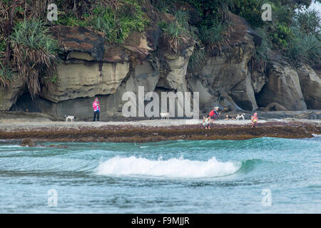 Angler Angeln vom Felsen auf Tip of Borneo Strand Sabah East Malaysia Insel Borneo Stockfoto