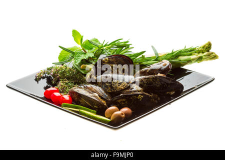 Wilde Muschel-Makro-Studio-Shooting Stockfoto