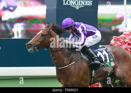 13.12.2015 - Hongkong; Hochland-Bandspule geritten von Ryan Moore gewinnt die Longines Hong Kong Vase (Gruppe 1). Bildnachweis: Lajos-Eric Balogh/turfstock.com Stockfoto