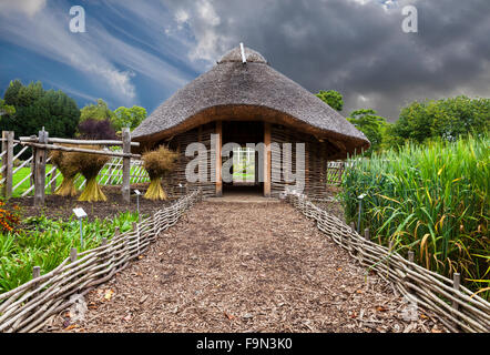 Replikat 11. Jahrhundert Viking House in Dublin National Botanic Gardens, Glasnevin Irland. Stockfoto