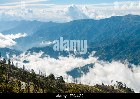 Einige Bäume am grünen Hang vor einem großen blauen Berg Tajamulco mit Wolkengebilde Stockfoto