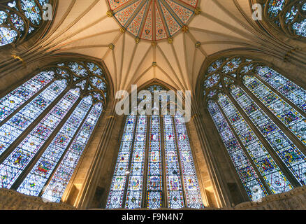 Kapitelsaal Gewölbedecke, York MInster Stockfoto