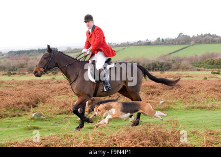 Lamerton Jäger auf dartmoor Stockfoto