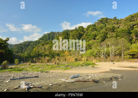 Strand in Corcovado Nationalpark Costa Rica Stockfoto