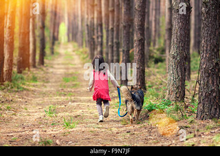 Kleines Mädchen mit großen Hund im Wald wandern Stockfoto