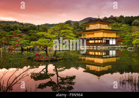 Kyoto, Japan im Goldenen Pavillon in der Abenddämmerung. Stockfoto