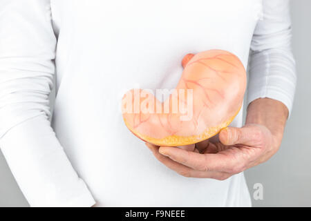 Weibliche Hand mit künstlichen Modell des menschlichen Magens isoliert auf weißem Hemd Stockfoto