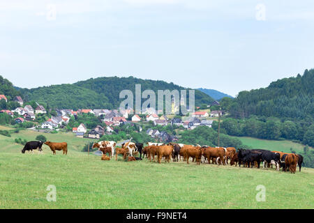 Tal mit Bürgerhäusern und Kühe auf grüner Wiese Stockfoto