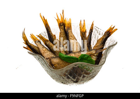 Dosen Sprotten mit Basilikum isoliert Stockfoto