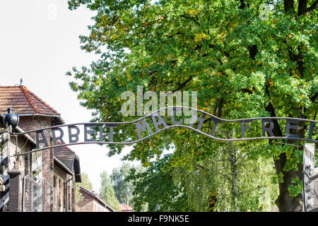 KZ Auschwitz in Oswiecim Polen Stockfoto