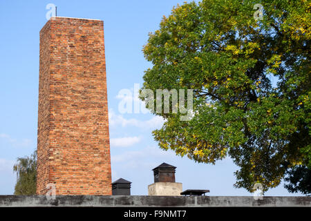 KZ Auschwitz in Oswiecim Polen Stockfoto