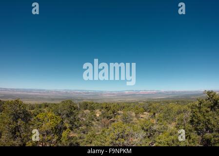 Blick auf die große Treppe und rosa Klippen des südlichen Utah aus Kaibab Plateau High Point in Arizona. Stockfoto