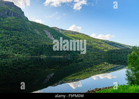 Kiefernwald am Hang des Berges spiegelt sich in einem See Stockfoto