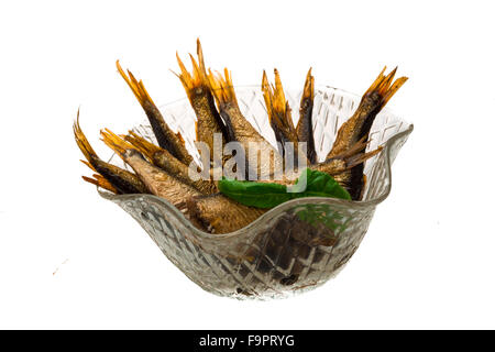 Dosen Sprotten mit Basilikum isoliert Stockfoto
