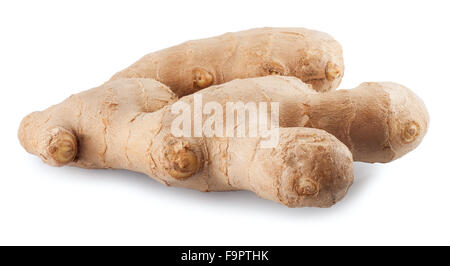 eine Wurzel frischen Ingwer Isolat auf weiß Stockfoto