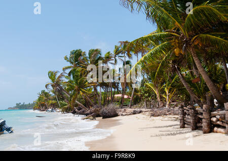 Palmen im Wind am weißen Sandstrand Küste unter blauen Himmel tropischen karibischen Corn Island Stockfoto