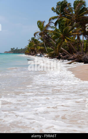 Palmen im Wind am weißen Sandstrand Küste unter blauen Himmel tropischen karibischen Corn Island Stockfoto