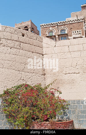 Die alte Stadt von Sana ' a, der ältesten kontinuierlich bewohnten und besiedelte Stadt der Welt, Jemen, UNESCO-Weltkulturerbe Stockfoto