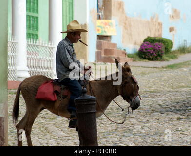 Mann mit Hut raucht eine Zigarre auf einem Esel, Trinidad, Kuba Stockfoto