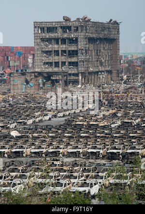 Tianjin Explosion Nachwirkungen, Sprenganlage. Foto Jayne Russell 17. August 2015 17.08.15 Stockfoto
