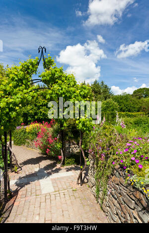 Die bunten Potager Garten (eine kombinierte Blumen- und Gemüsegarten) bei RHS Rosemoor, North Devon, England, UK Stockfoto