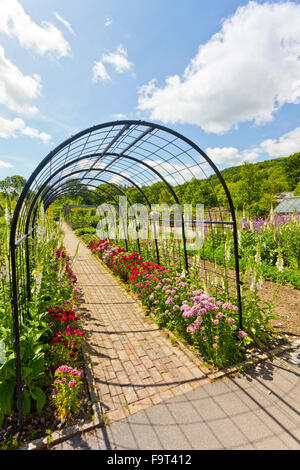 Eine Metall Pergola gepflanzt mit Sweet Williams und Fingerhut in den Gemüsegarten an der RHS Rosemoor, North Devon, England, UK Stockfoto