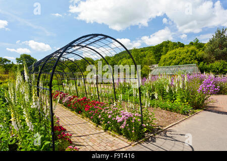 Eine Metall Pergola gepflanzt mit Sweet Williams und Fingerhut in den Gemüsegarten an der RHS Rosemoor, North Devon, England, UK Stockfoto