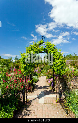 Die bunten Potager Garten (eine kombinierte Blumen- und Gemüsegarten) bei RHS Rosemoor, North Devon, England, UK Stockfoto