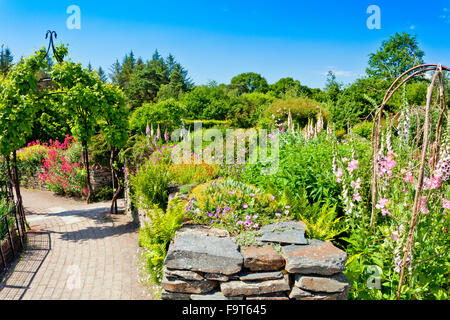 Bunte Staudenrabatten und einem trockenen Stein Wand in der Cottage-Garten an der RHS Rosemoor, North Devon, England, UK Stockfoto