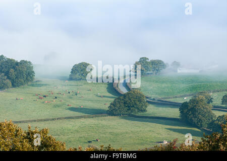 Herbstliche britische Landschaft überflutet in dichtem Nebel Stockfoto