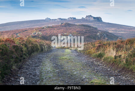 Leere Straße auf Heather Land Hügel Stockfoto