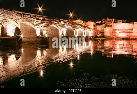 Römische Brücke und Alcazaba oder maurischen Festung in der Nacht, Merida, Spanien Stockfoto