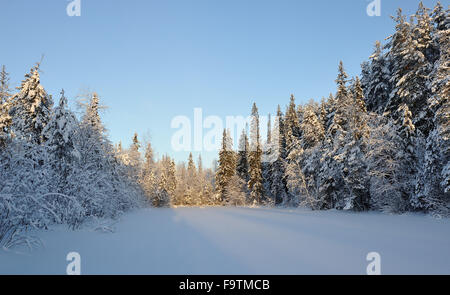 Taiga-See bei winterlichem Sonnenuntergang mit Schnee und Raureif. Stockfoto