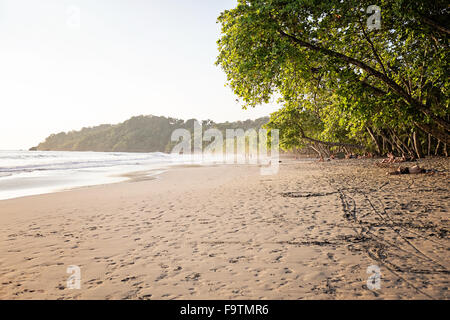Ein schöner Strand in Costa Rica (Manuel Antonio) Stockfoto