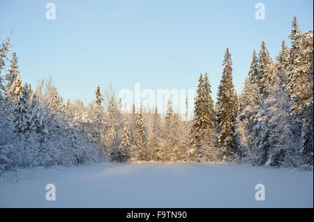 Taiga-See bei winterlichem Sonnenuntergang mit Schnee und Raureif. Stockfoto