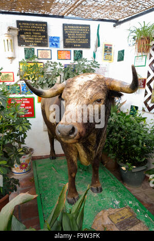 Gefüllte fighting Bull in Stierkampf-Arena des weißen Dorfes Mijas Pueblo in Südspanien. Andalusien, Costa Del Sol. Stockfoto