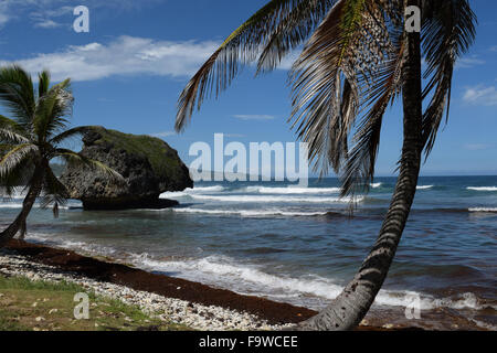 Bathseba auf der Karibikinsel Barbados in der Karibik Stockfoto