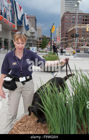 Detroit, Michigan - A Special Agent des Bureau of Alcohol, Tobacco, Schusswaffen und Sprengstoff und Hund auf der Suche nach Sprengstoff Stockfoto